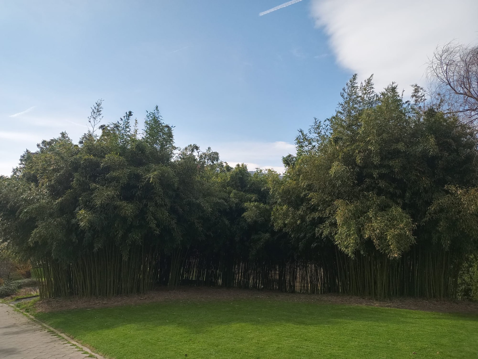 PASEO DEL JARDÍN BOTÁNICO DE BARAKALDO